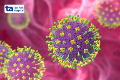 Trường Mầm non Ninh Mỹ tuyên truyền tới CBGVNV, các bậc phụ huynh học sinh về cách phòng chống lây nhiễm bệnh bịch Virus Nipah trong trường Mầm non