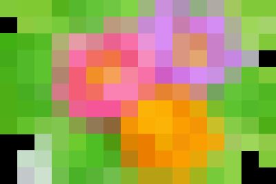 Lễ khai giảng năm học 2025 -2026 của trường Mầm non Ninh Mỹ